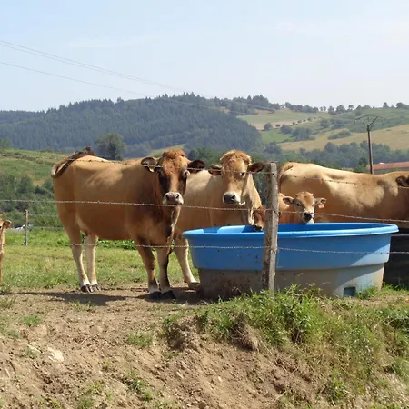 Séjour à la campagne à La Ferme Avec Terrasse Et Animaux Admis - Fr-1-496-235 *