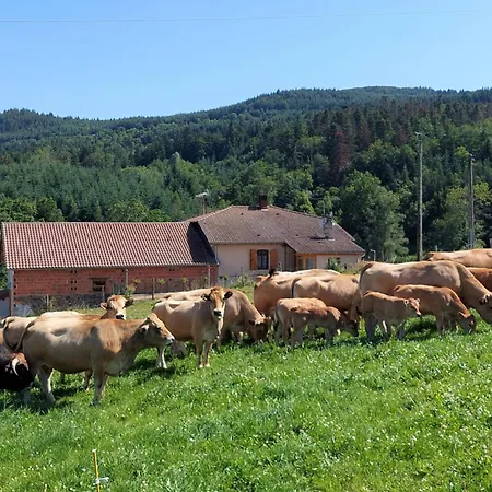 à La Ferme Avec Terrasse Et Animaux Admis - Fr-1-496-235 Séjour à la campagne Saint-Marcel-dʼUrfé