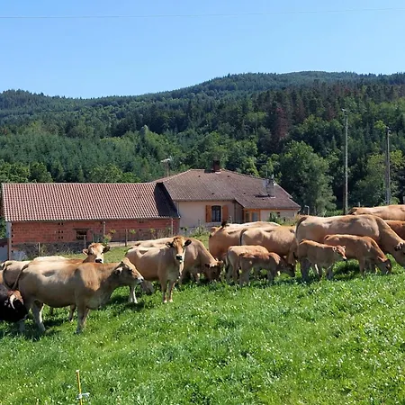 A La Ferme Avec Terrasse, Proche Loire, Allier, Puy De Dome, Animaux Bienvenus - Fr-1-496-235 Holiday home Saint-Marcel-d'Urfe