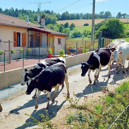 à La Ferme Avec Terrasse Et Animaux Admis - Fr-1-496-235 * Saint-Marcel-dʼUrfé