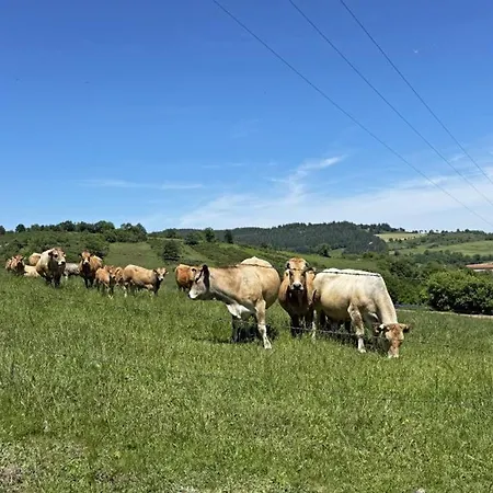 à La Ferme Avec Terrasse Et Animaux Admis - Fr-1-496-235 *